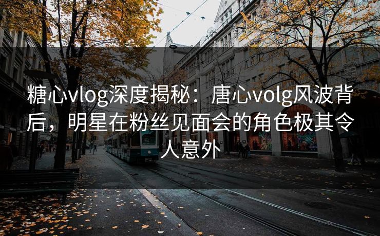 糖心vlog深度揭秘：唐心volg风波背后，明星在粉丝见面会的角色极其令人意外