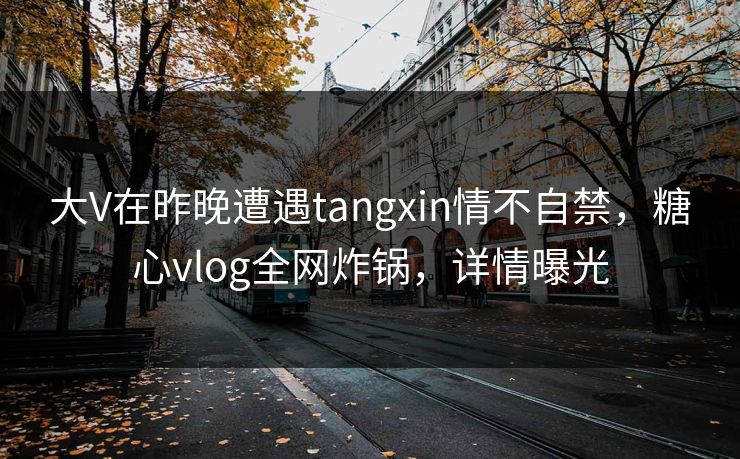大V在昨晚遭遇tangxin情不自禁，糖心vlog全网炸锅，详情曝光