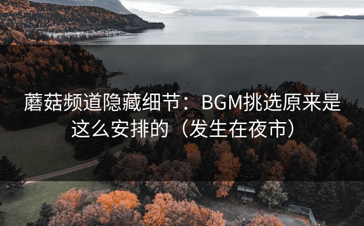 蘑菇频道隐藏细节：BGM挑选原来是这么安排的（发生在夜市）