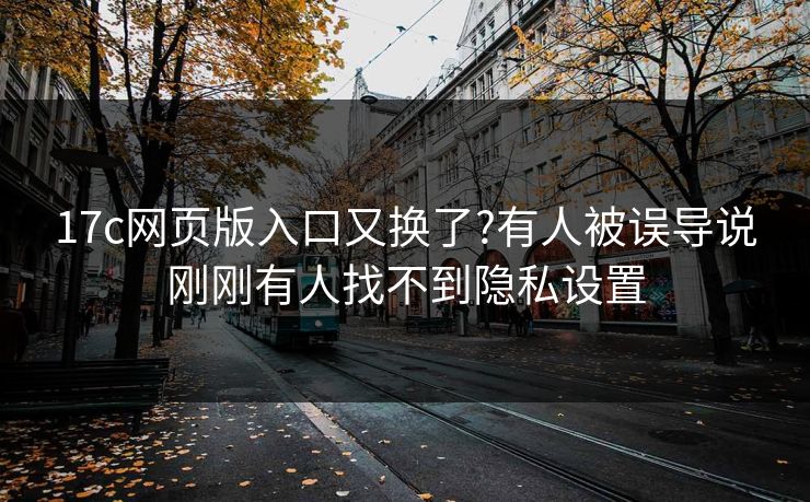 17c网页版入口又换了?有人被误导说刚刚有人找不到隐私设置