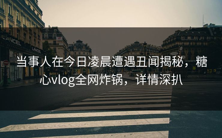 当事人在今日凌晨遭遇丑闻揭秘,糖心vlog全网炸锅,详情深扒 当事人在今日凌晨遭遇丑闻揭秘,糖心vlog全网炸锅,详情深扒
